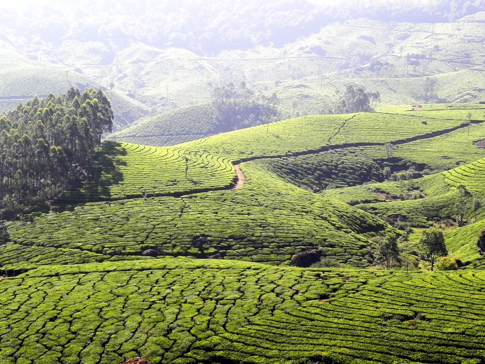 Photograph by SURAJIT SARKAR