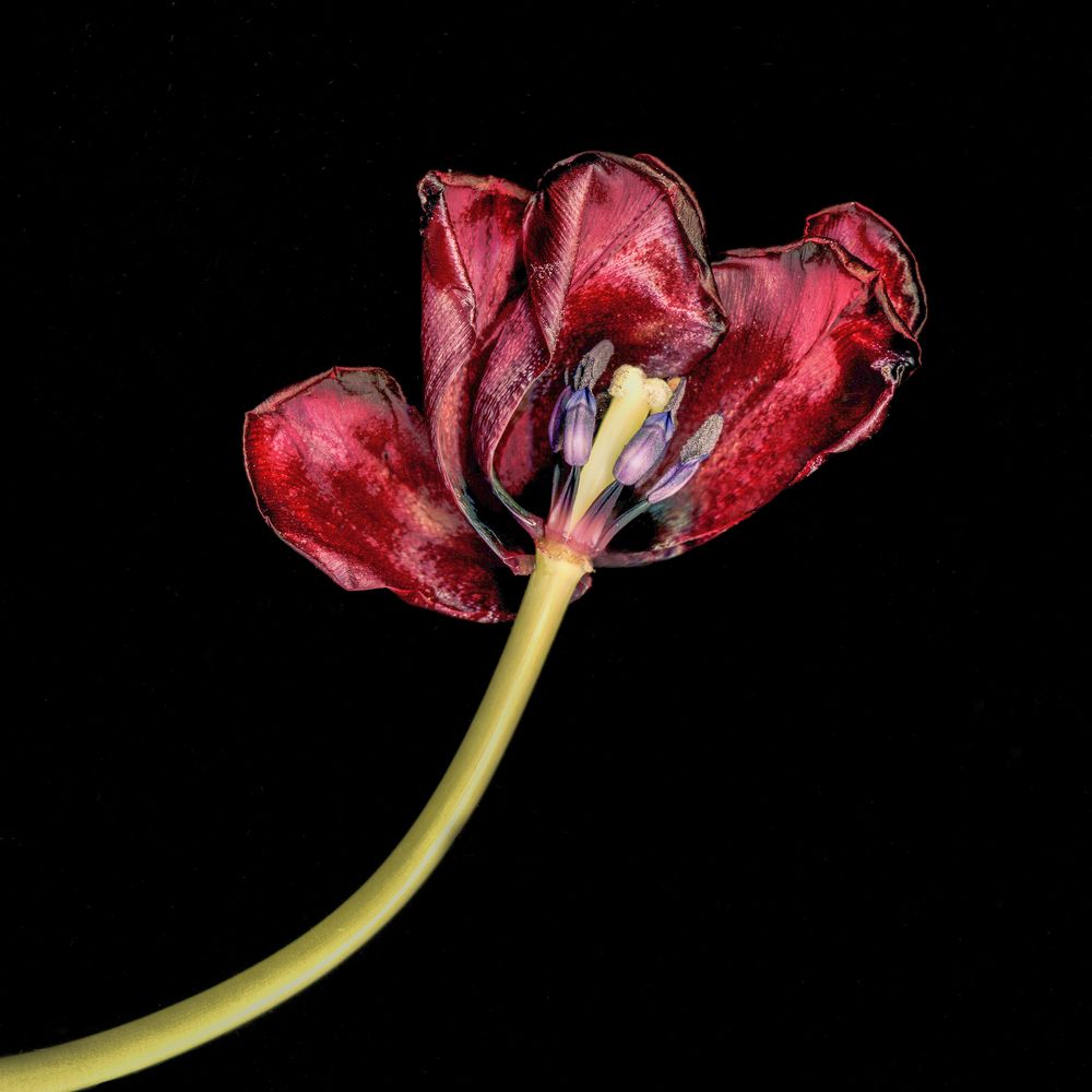 Photograph by Наталья Коньшина