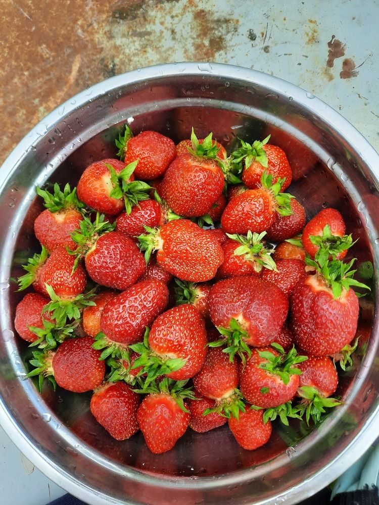 Photograph by Елена Симонова