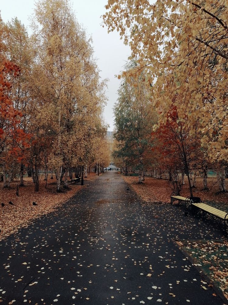 Photograph by Виталий Са