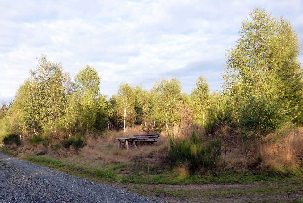 Photograph by Pjotr Alekseev