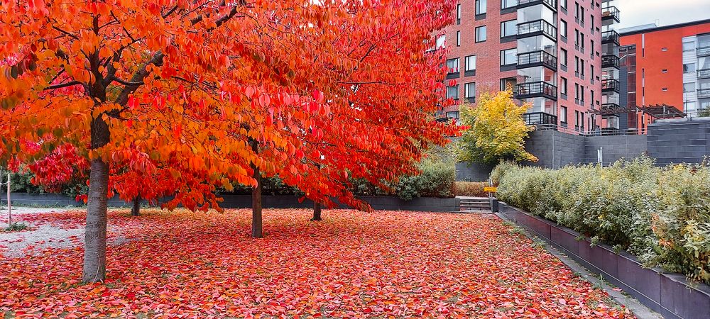 Photograph by Epp Tappel