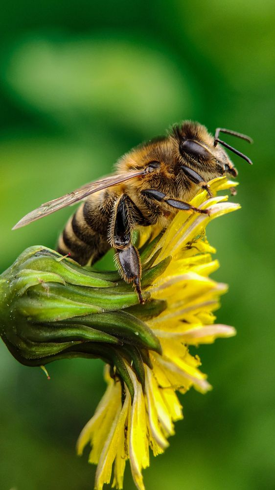 Photograph by Романова Мария