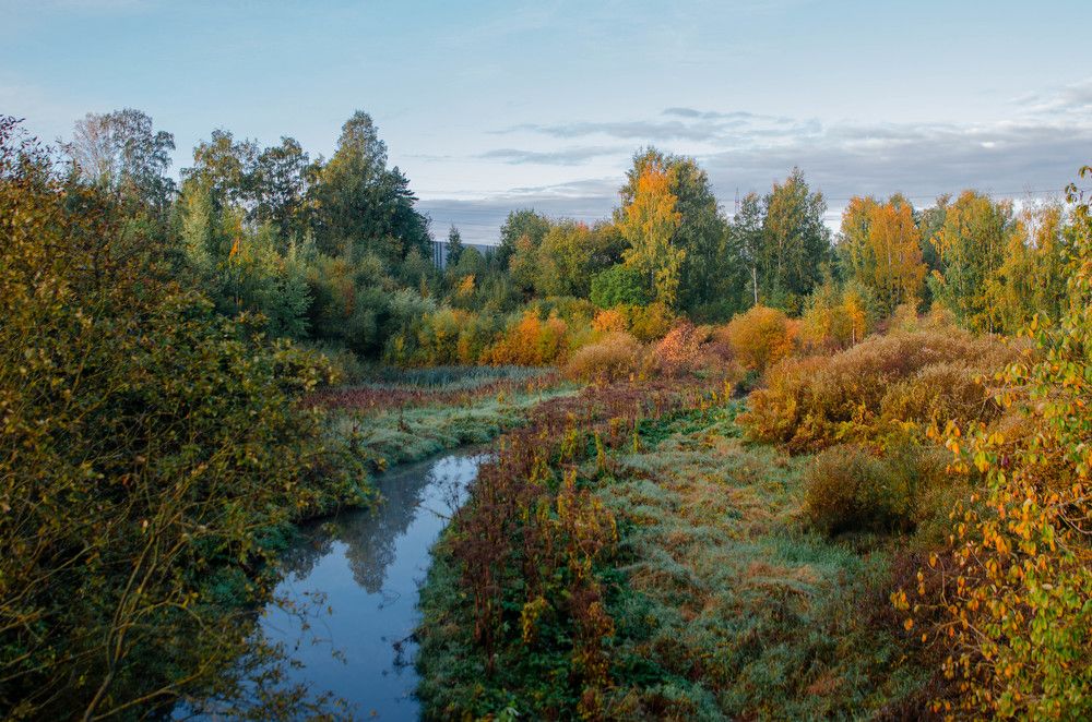 Photograph by Аверина Елена