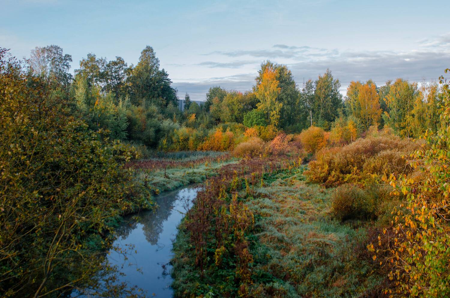 Фотография #8106273