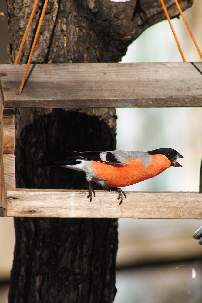 Photograph by Марина