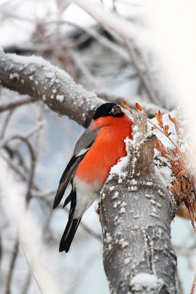 Photograph by Марина