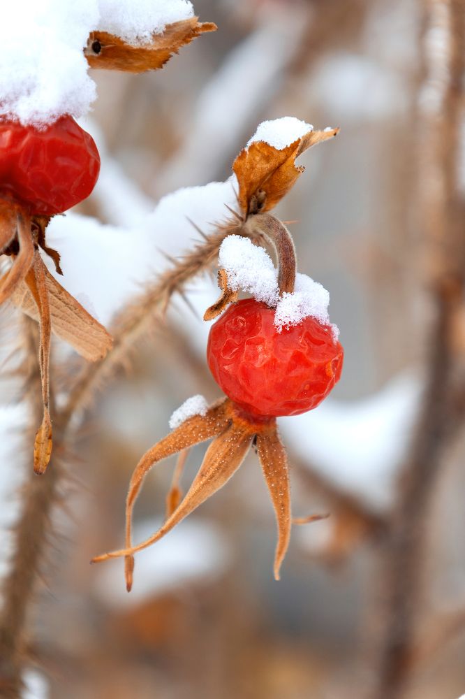 Photograph by Марина