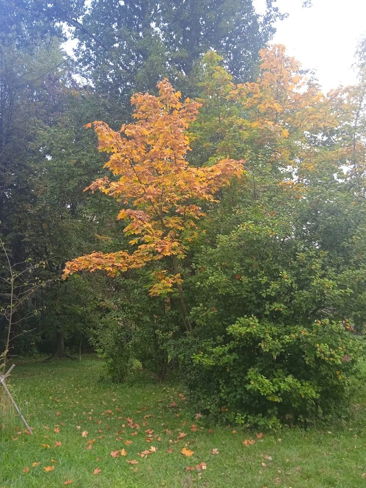 Photograph by Наталия Колемасова