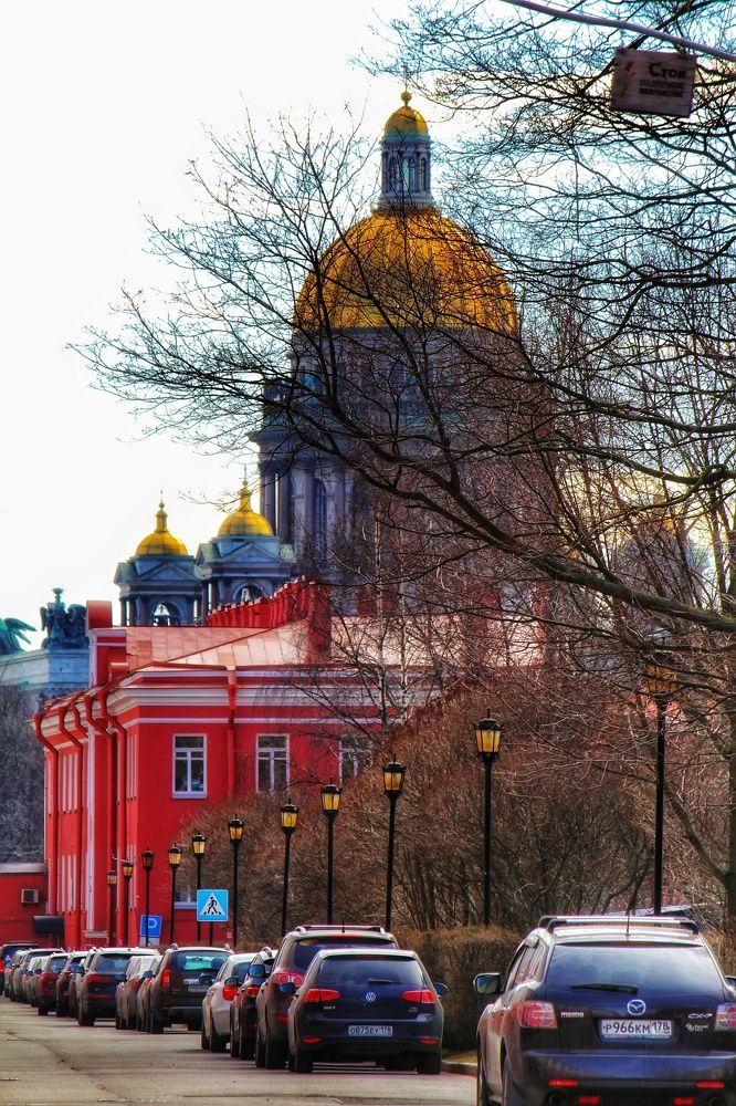 Photograph by Романова Мария