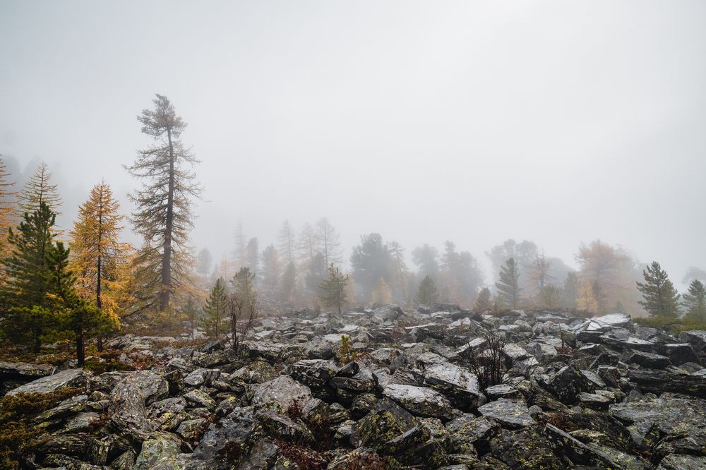 Photograph by Сергей Андрейчук