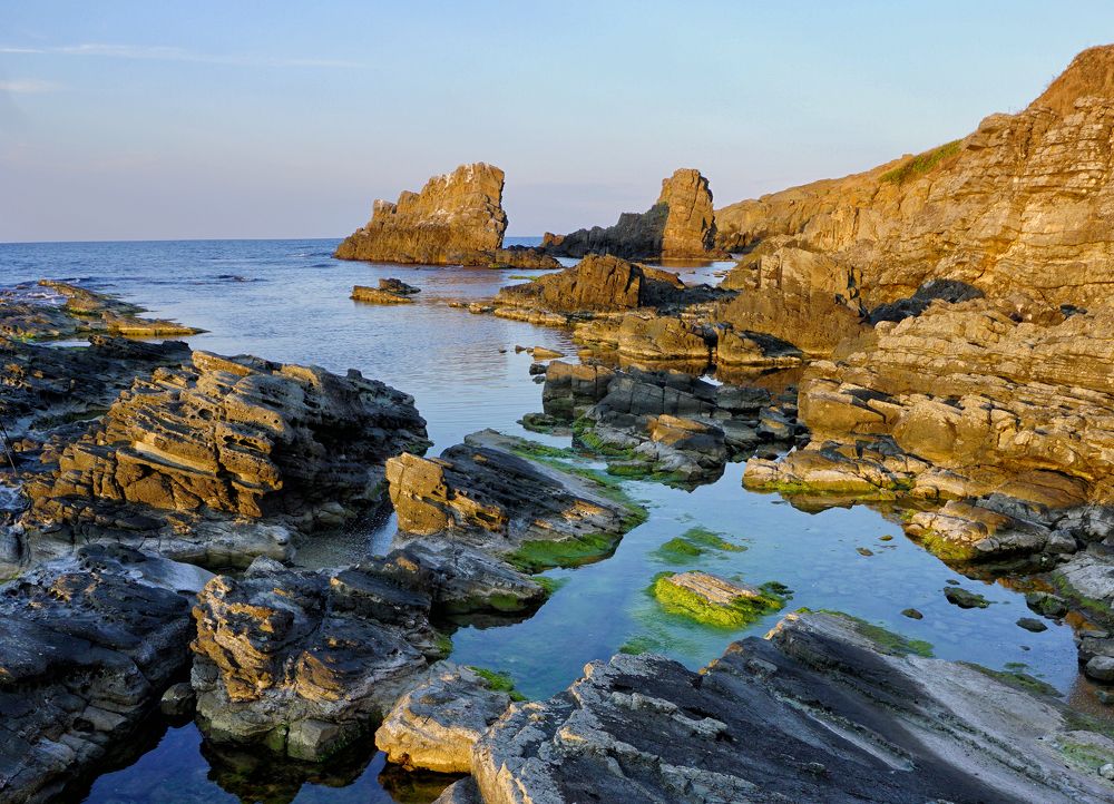 Фотография автора Milena Ivanova