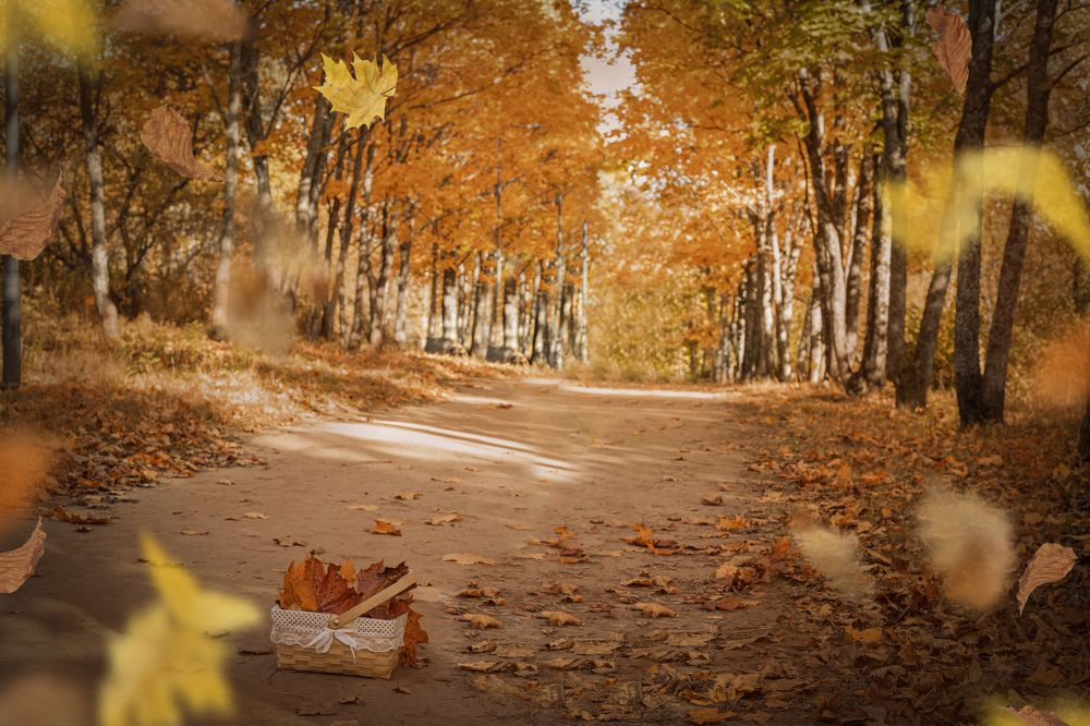 Photograph by Людмила Якурнова