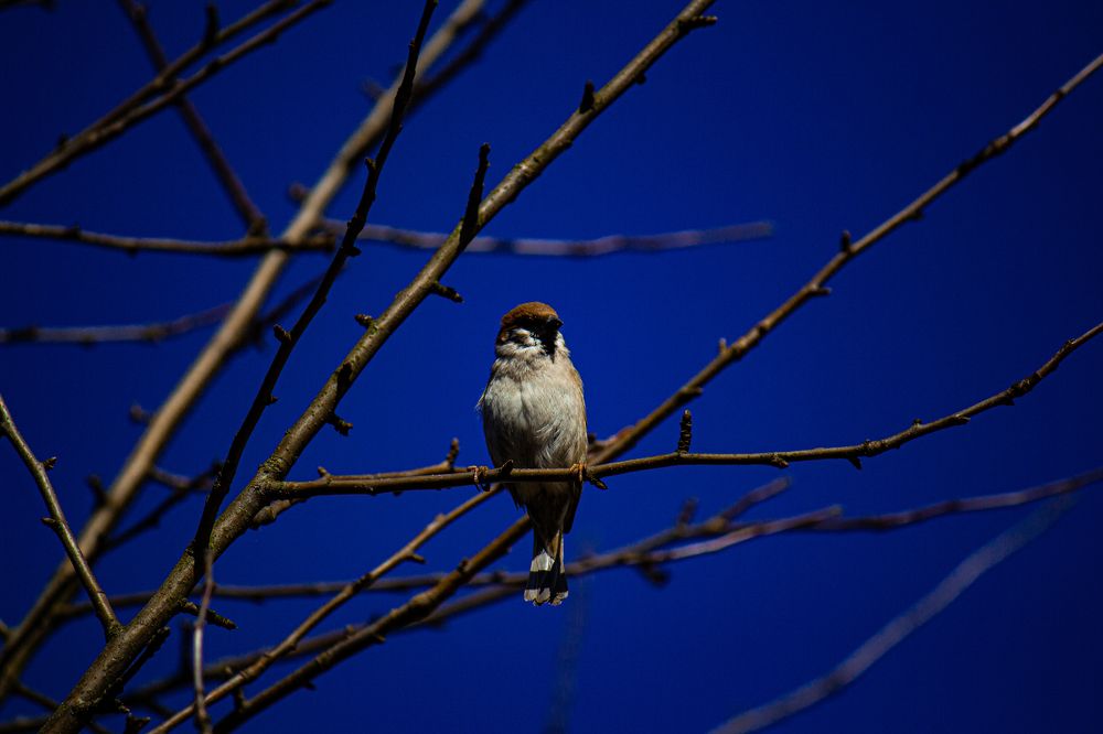 Photograph by Романова Мария