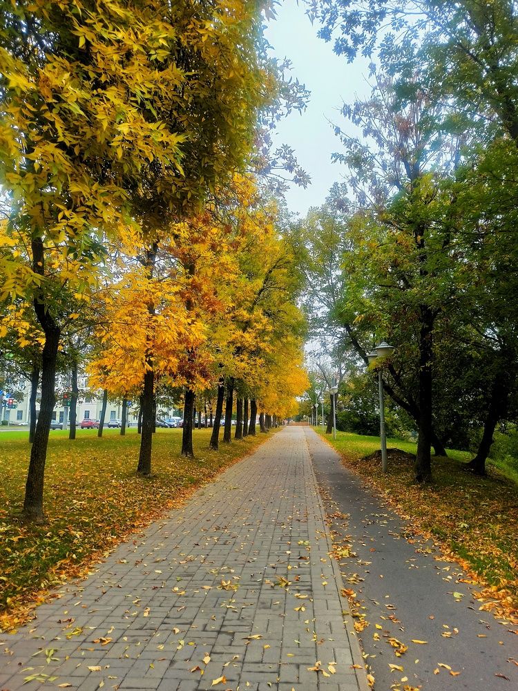 Photograph by Сергей Симаков