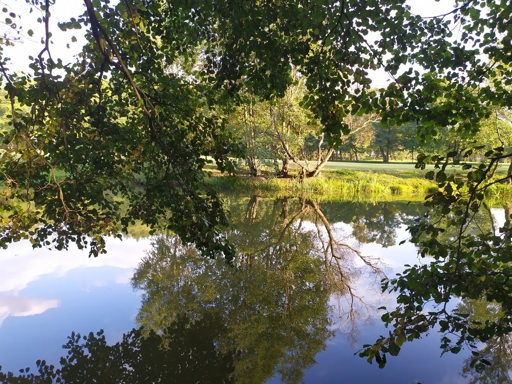 Photograph by Людмила Муравьева