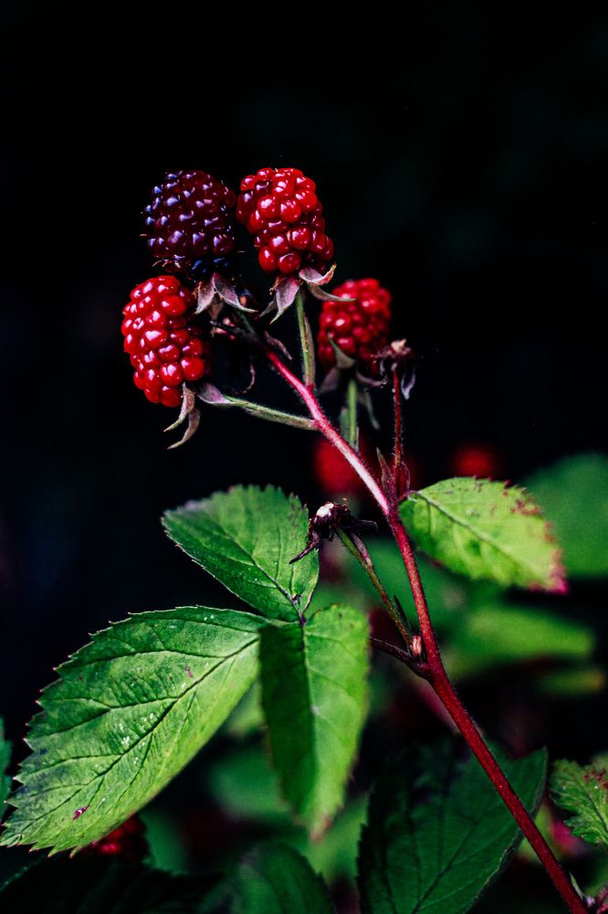 Photograph by Юлия Белозёрова