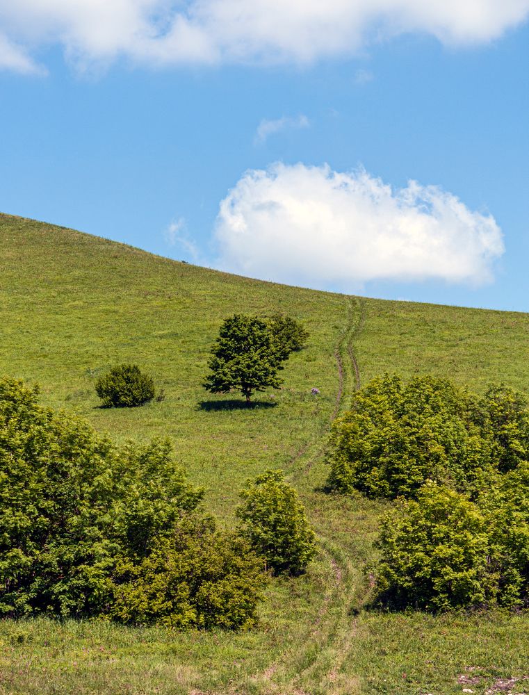 Photograph by Сергей Христинич