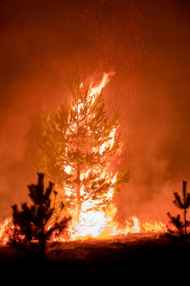 Photograph by Сергей Пашнов