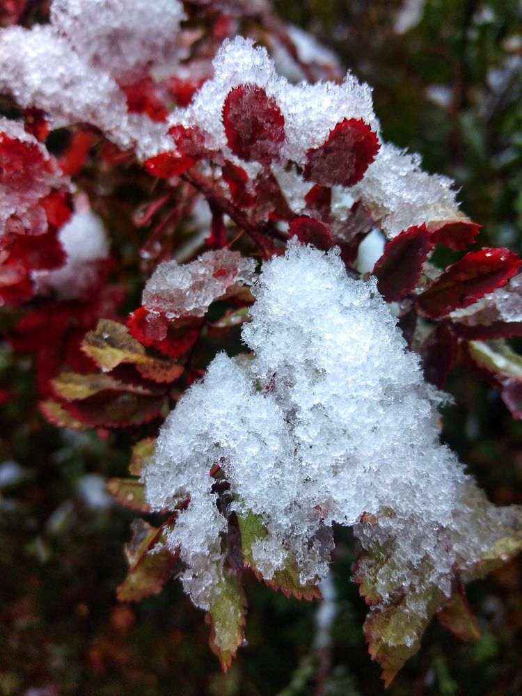 Photograph by Наталия Юминова