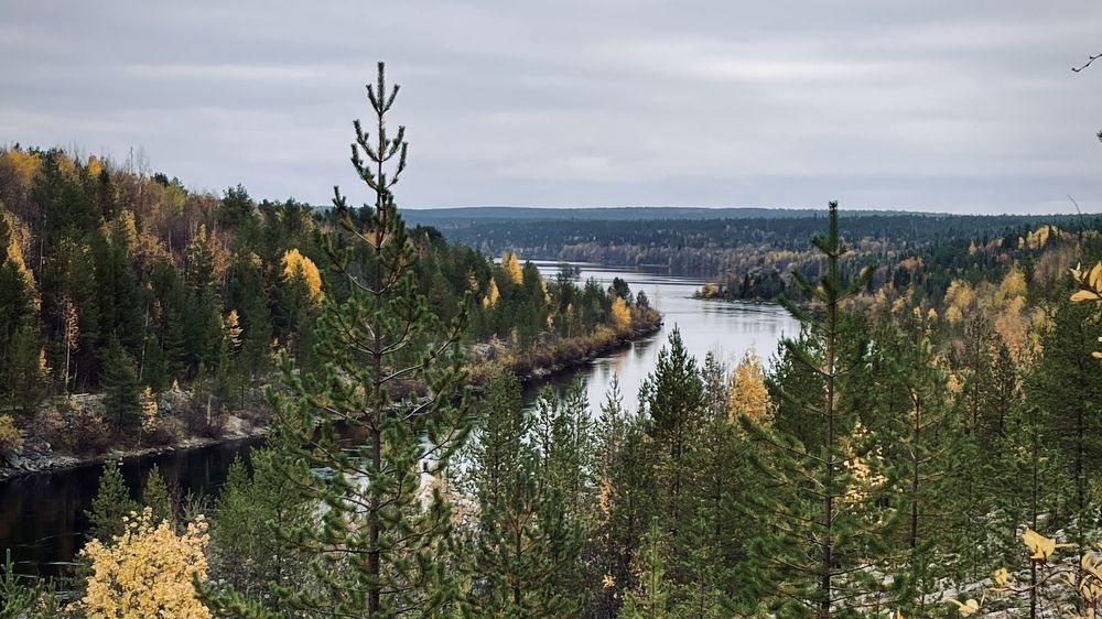 Фотография автора Юлия Шумейко