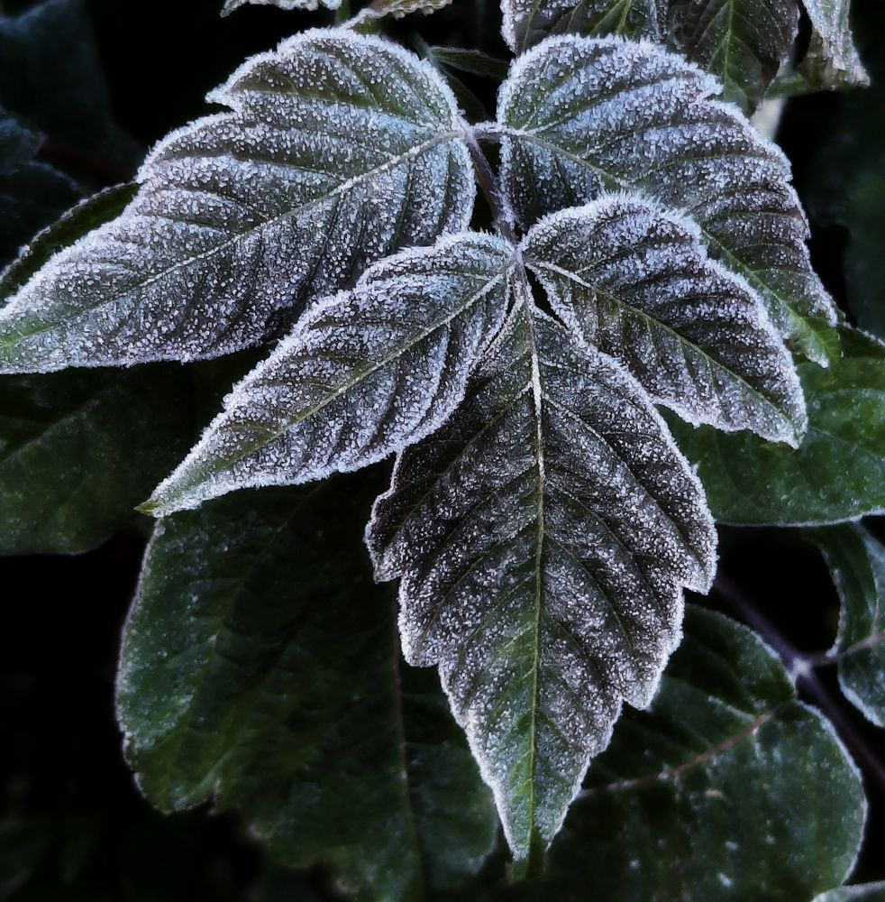 Фотография автора Ольга Кунакова