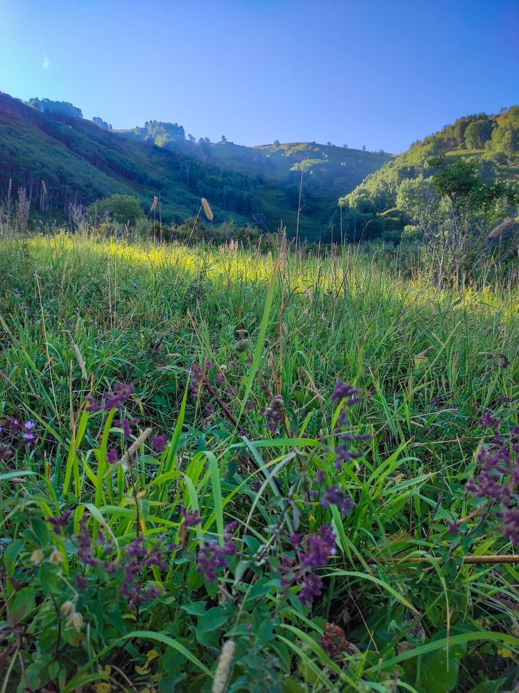 Фотография автора Руслан Токмагамбетов