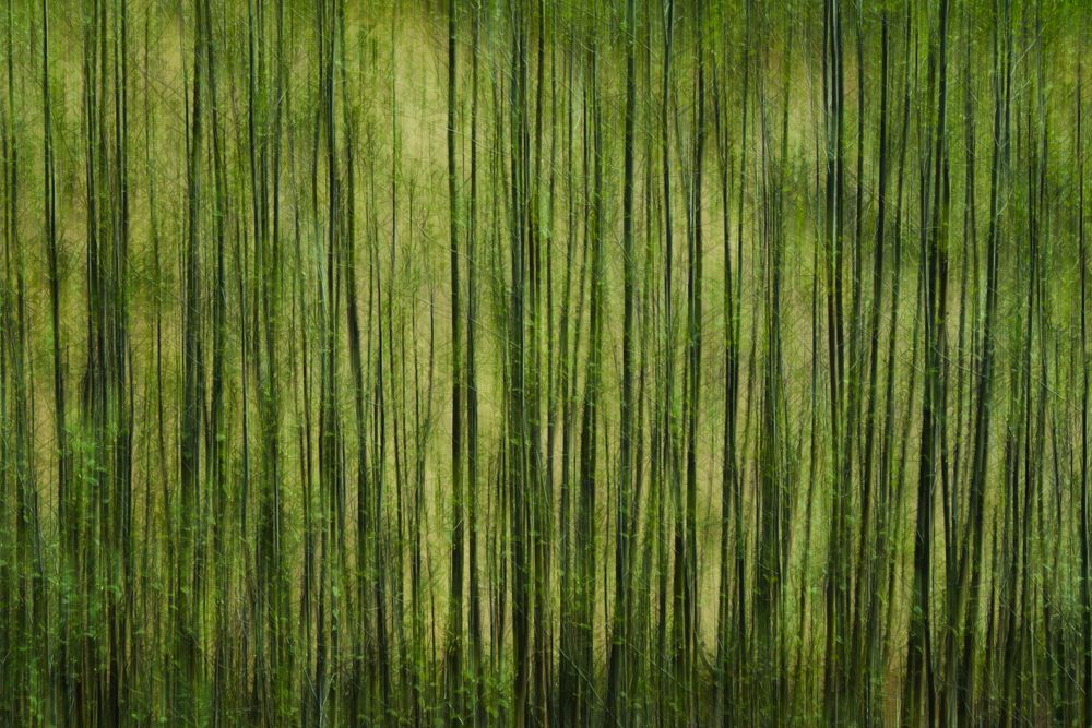 Photograph by Надежда Буаллаг