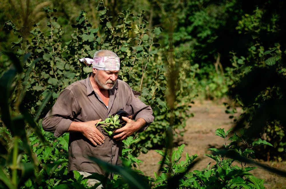 Photograph by Владимир Зайцев