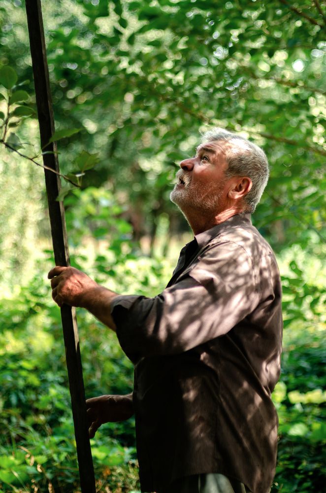 Photograph by Владимир Зайцев