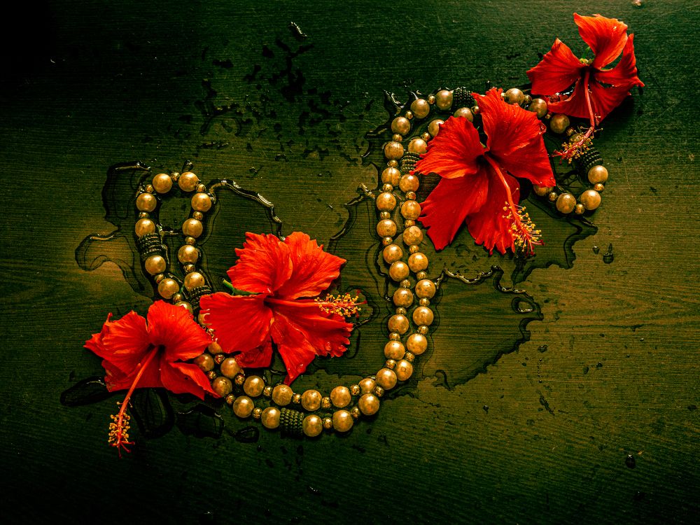 Фотография автора savitri Rawat