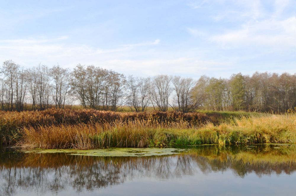 Осенняя Логовежь