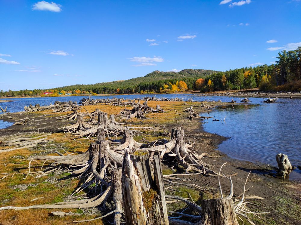 Фотография автора Руслан Токмагамбетов
