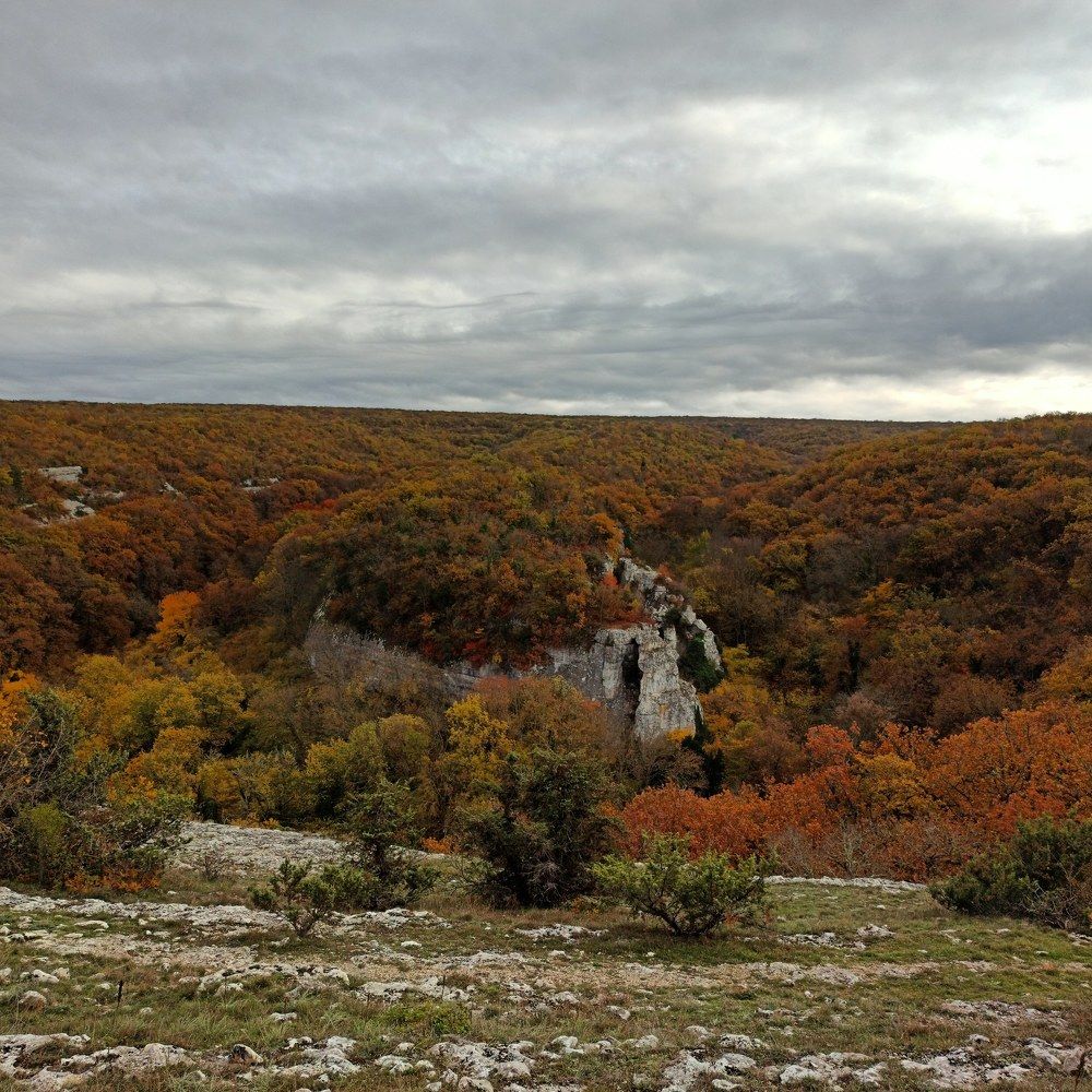 Photograph by Расшивина Дарья