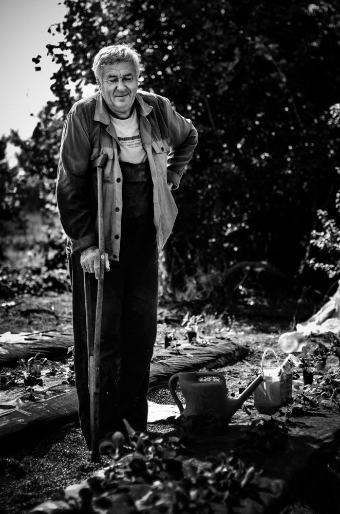 Photograph by Владимир Зайцев