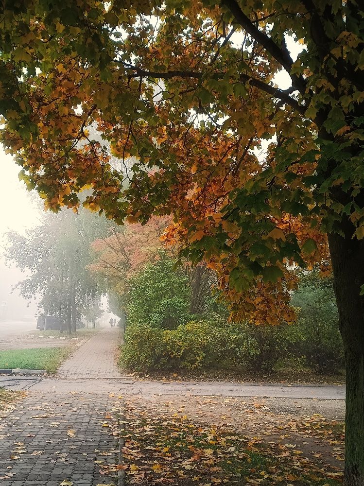 Photograph by Марина Рукавичко