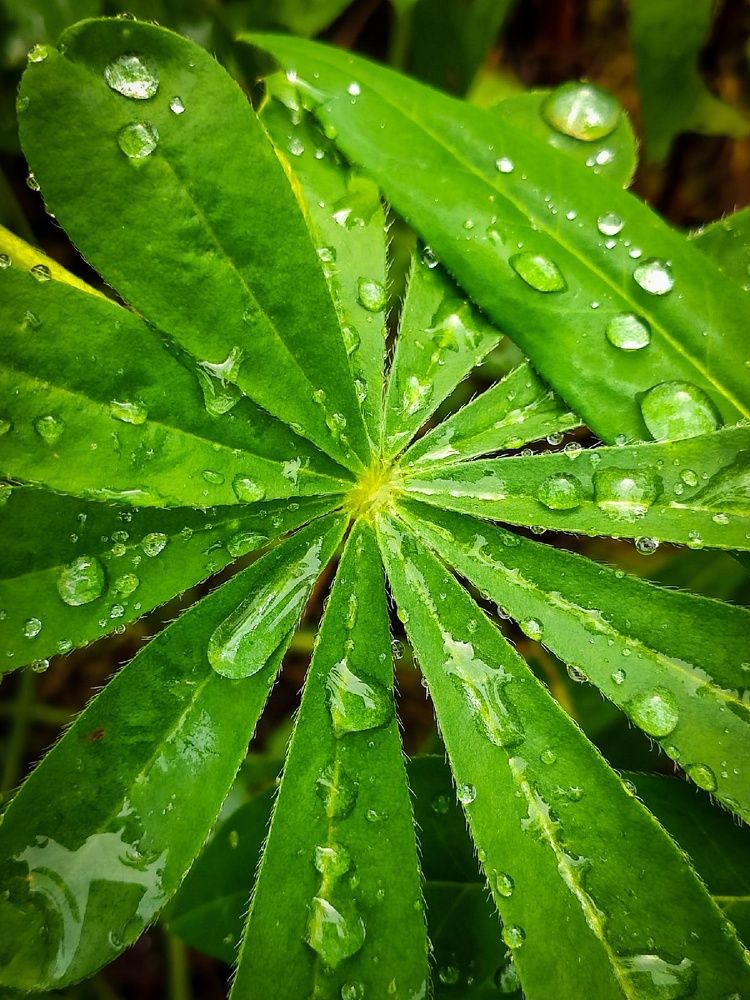 Photograph by Andrey Purtov