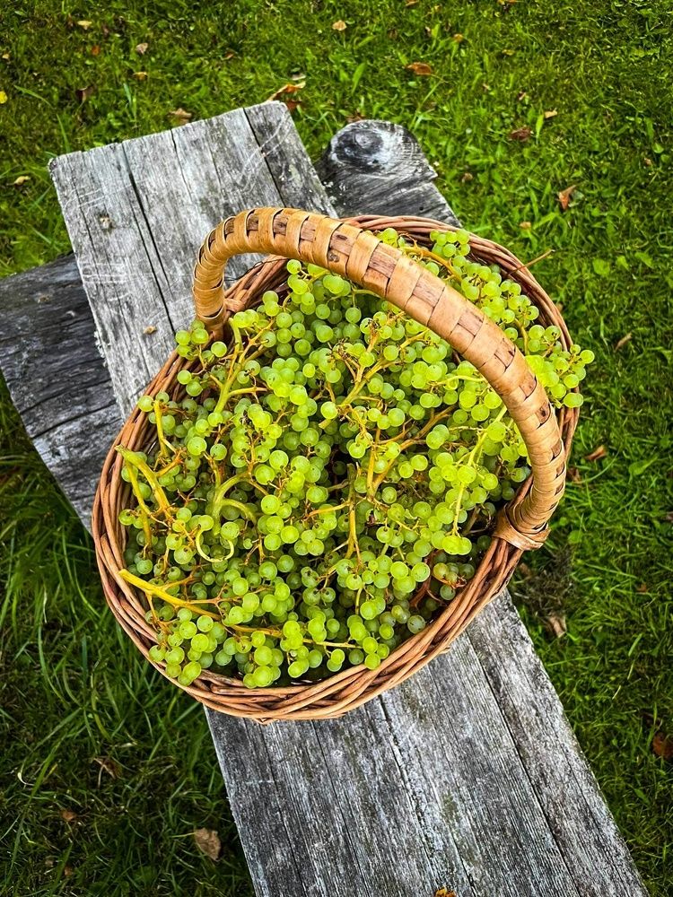 Photograph by Andrey Purtov