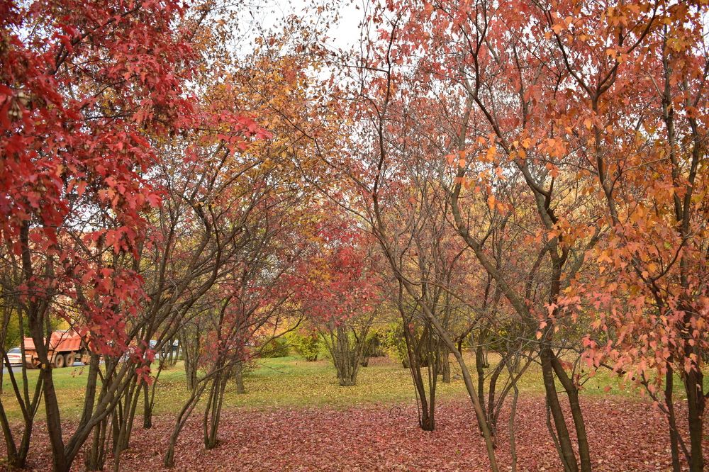 Photograph by Наталья Еременко