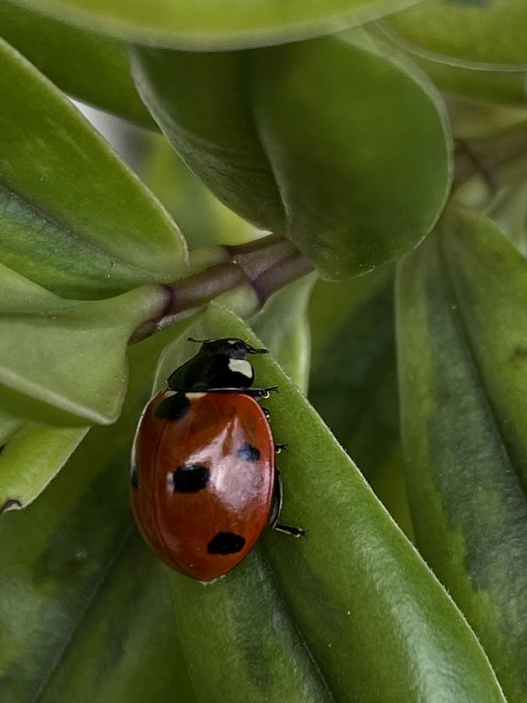 Photograph by Анастасия Куэлляр