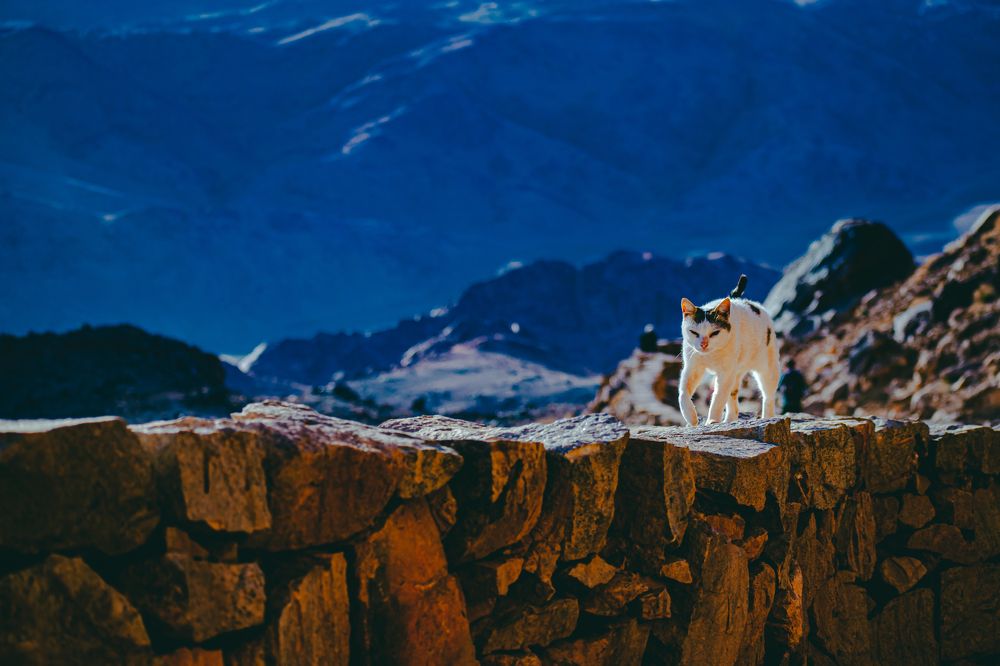 Photograph by Андрей Петров