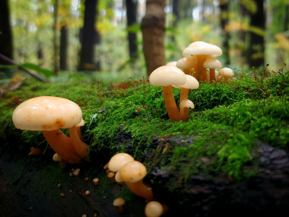 Photograph by Валерий Савостьянов