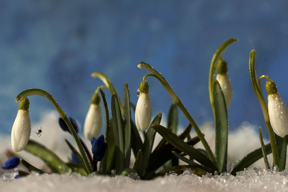 Photograph by Бугвин Алексей