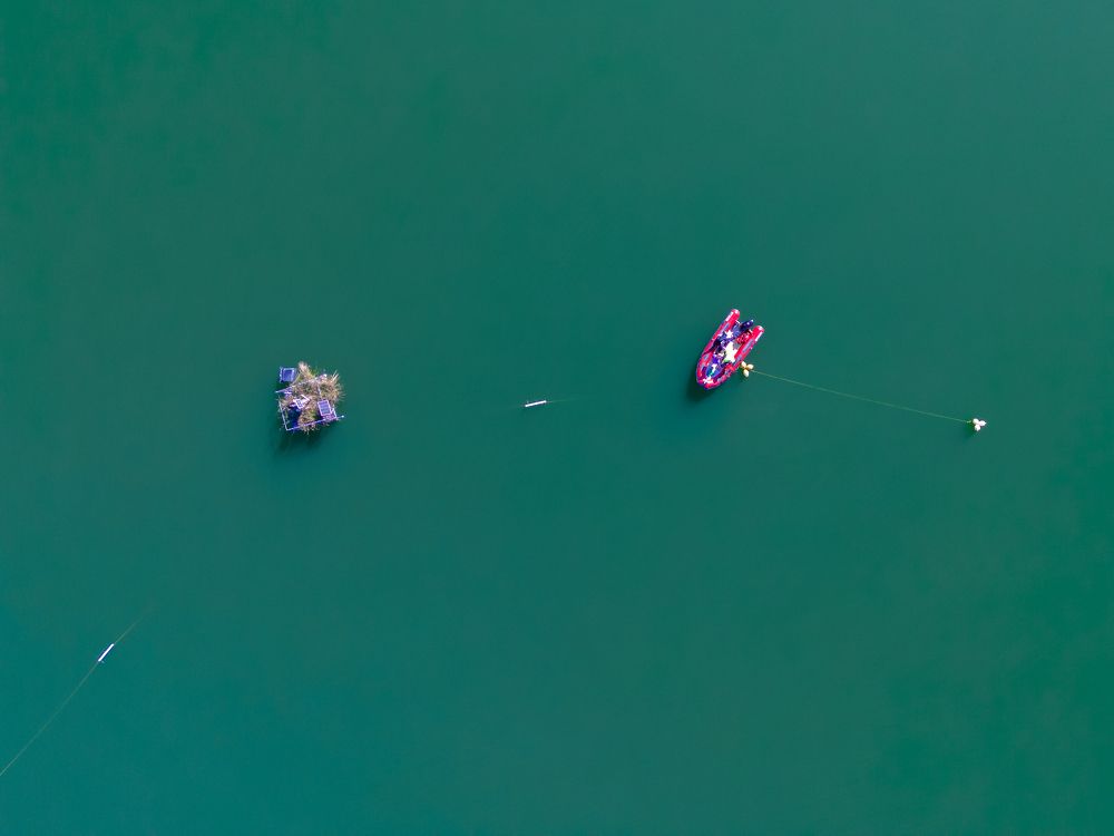 Photograph by Francisco José López Fernández