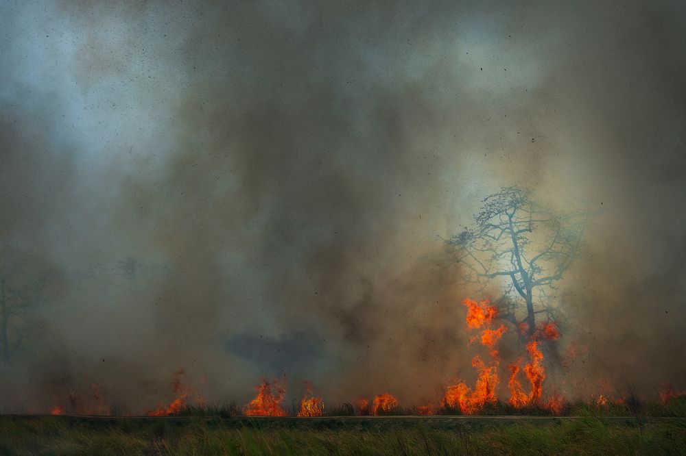 Photograph by Guha Jayanta