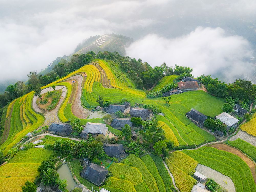 Photograph by Trung Duong