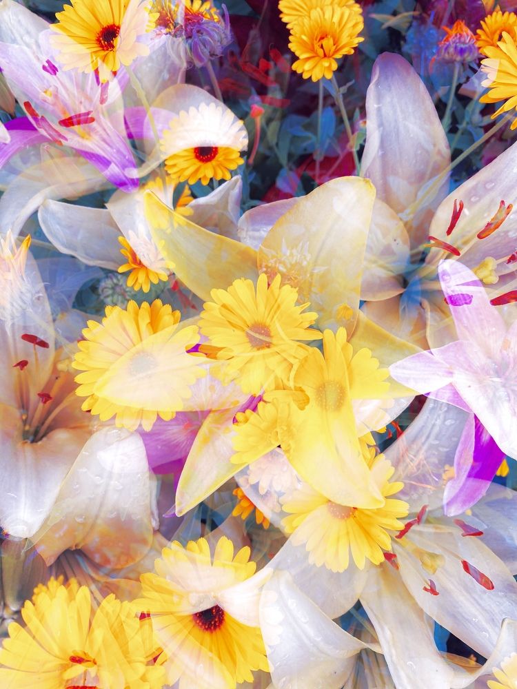 “Flower Symphonys”