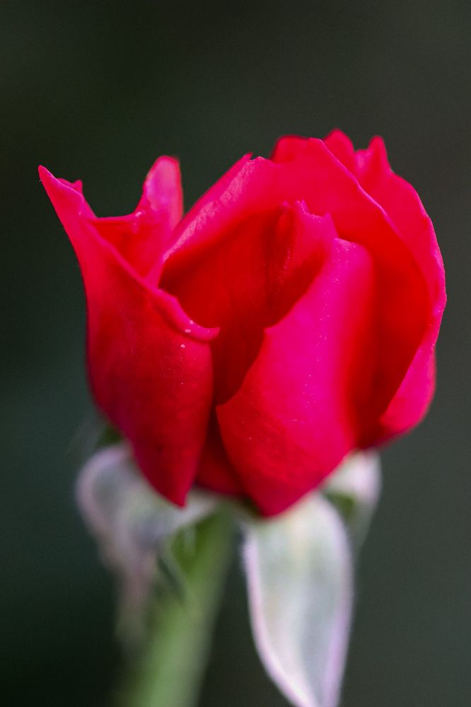 Photograph by Оксана Сафина