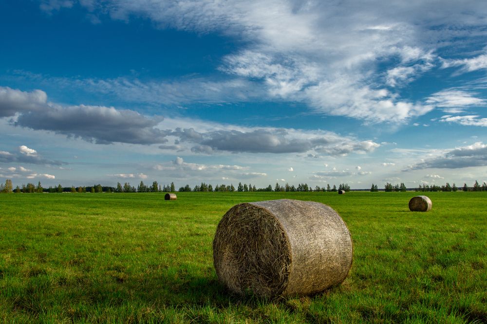 Красоты средней полосы
