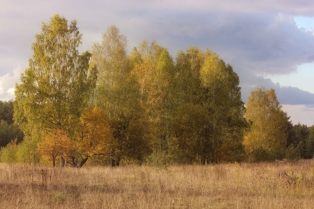 Photograph by Игорь Тихонов